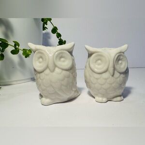 White Ceramic Owl Salt & Pepper Shakers Vintage